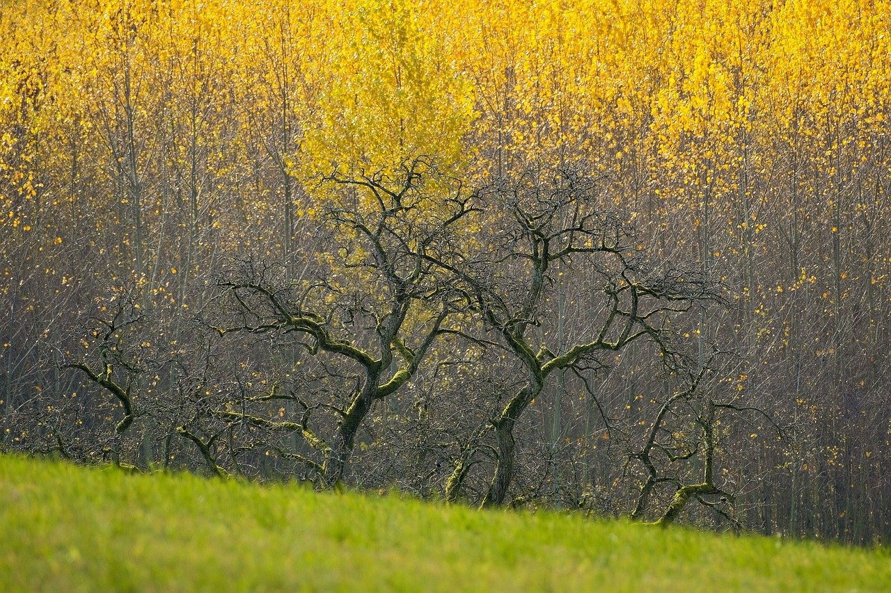 How to Capture the Unique Beauty of Remote Destinations